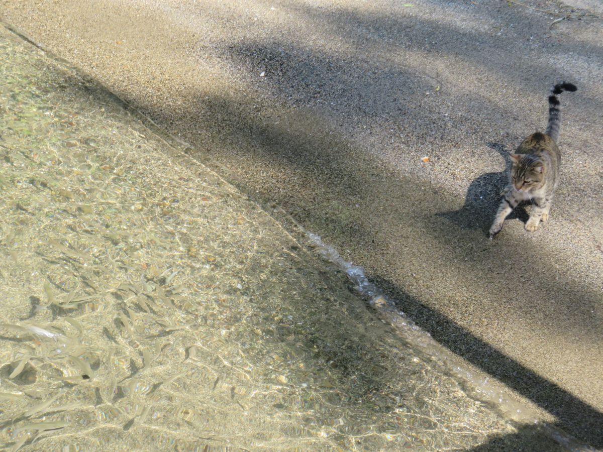 imagini hotel MARMARIS IMPERIAL